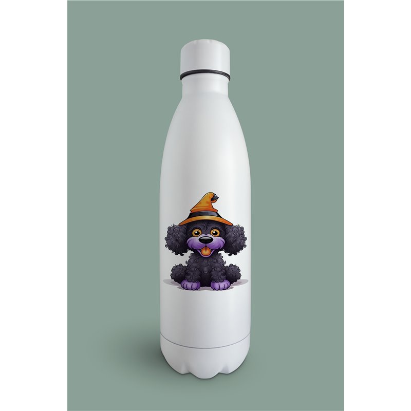 Insulated Bottle  - po 37