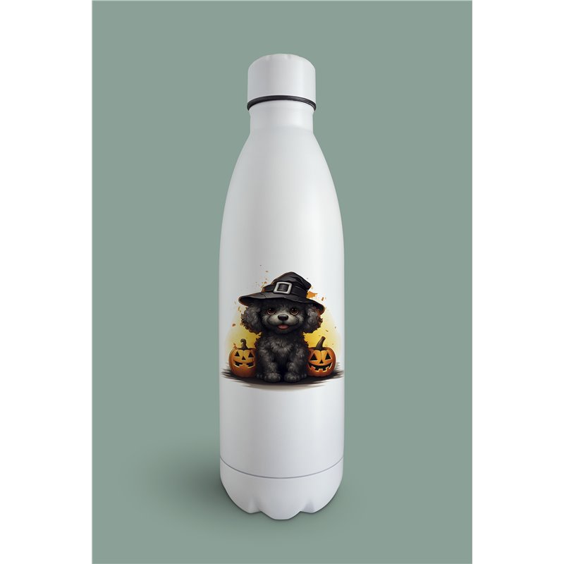 Insulated Bottle  - po 38