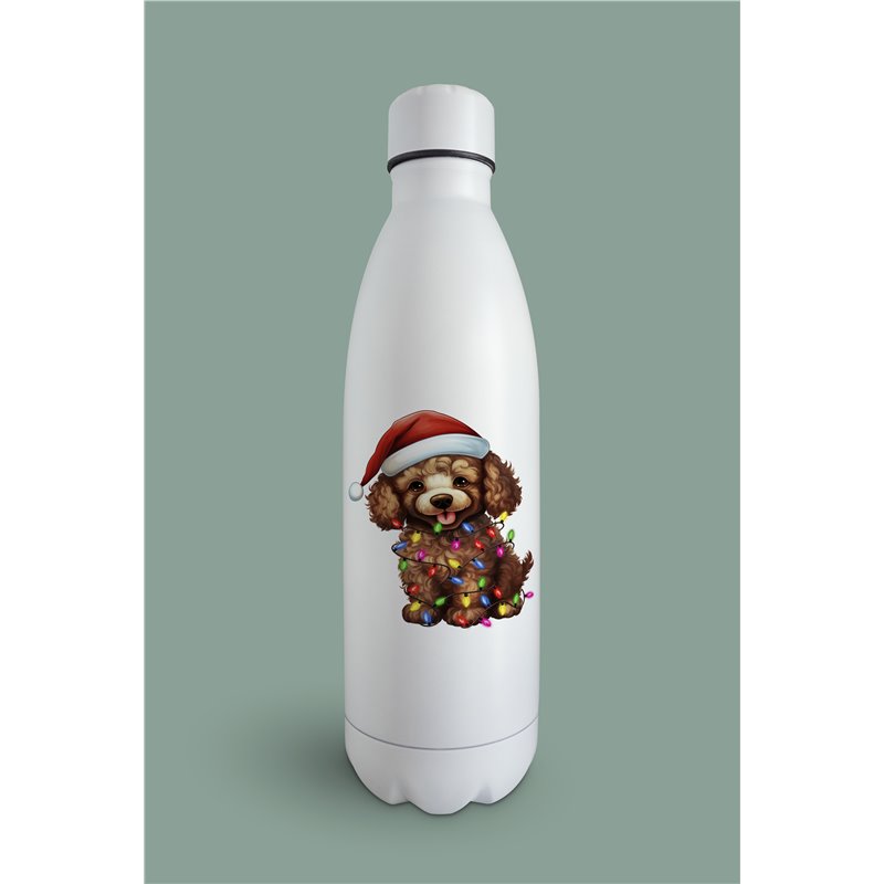 Insulated Bottle  - po 45