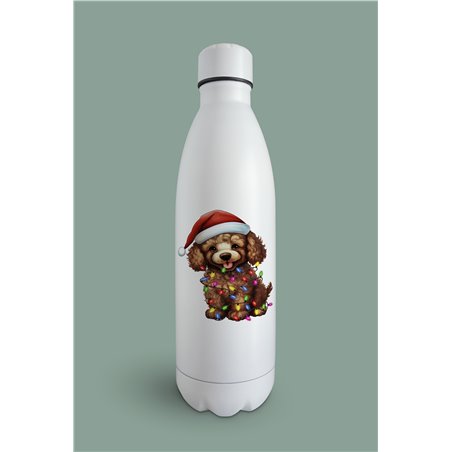 Insulated Bottle  - po 45