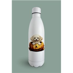 Insulated Bottle  - po 50