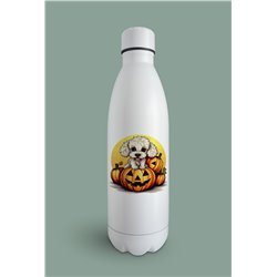 Insulated Bottle  - po 51