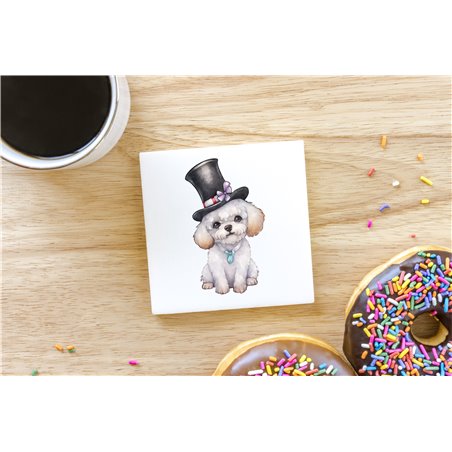 Ceramic Tile Coaster/ Trivet - po 4