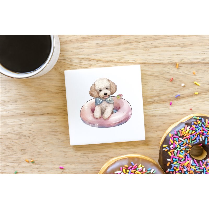 Ceramic Tile Coaster/ Trivet - po 7