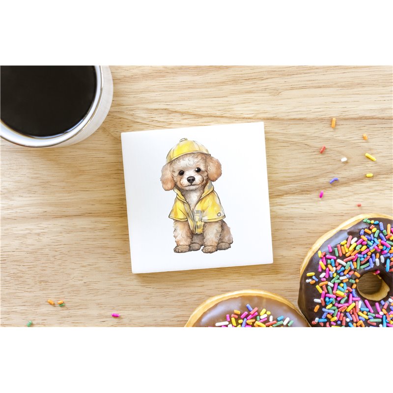 Ceramic Tile Coaster/ Trivet - po 8