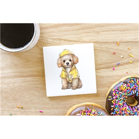 Ceramic Tile Coaster/ Trivet - po 8