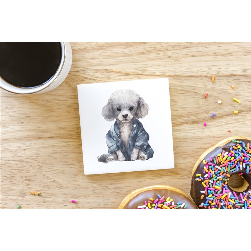 Ceramic Tile Coaster/ Trivet - po 27