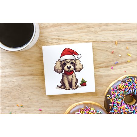 Ceramic Tile Coaster/ Trivet - po 30