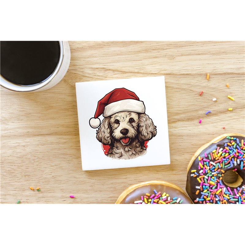 Ceramic Tile Coaster/ Trivet - po 31