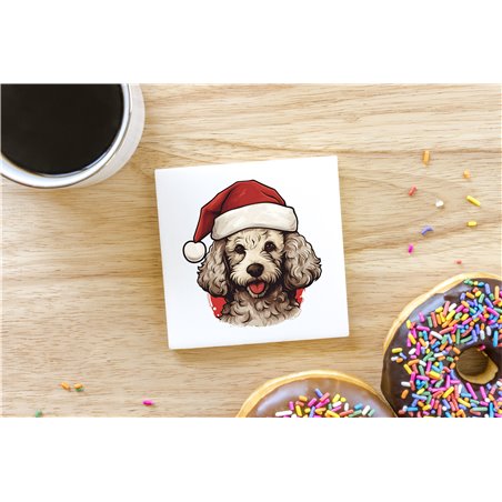 Ceramic Tile Coaster/ Trivet - po 31