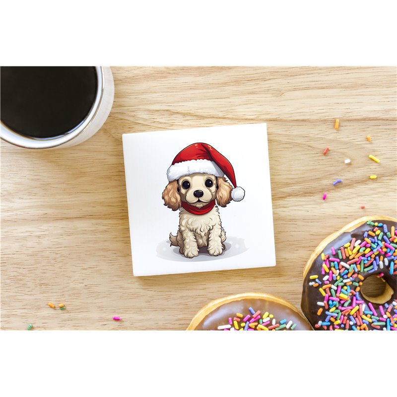 Ceramic Tile Coaster/ Trivet - po 33