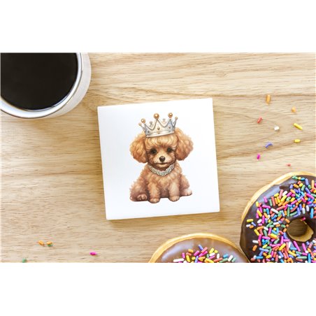 Ceramic Tile Coaster/ Trivet - po 40