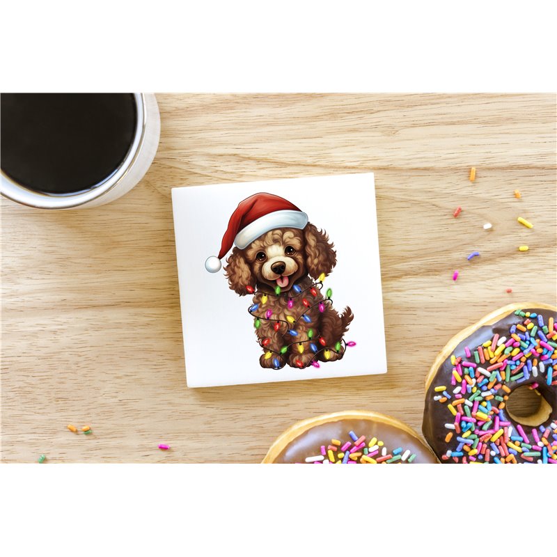 Ceramic Tile Coaster/ Trivet - po 44