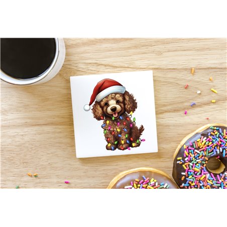 Ceramic Tile Coaster/ Trivet - po 44