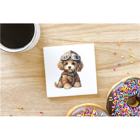 Ceramic Tile Coaster/ Trivet - po 45