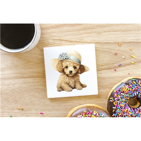 Ceramic Tile Coaster/ Trivet - po 48