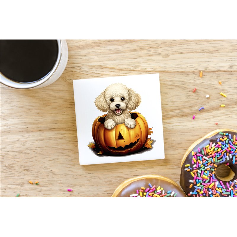 Ceramic Tile Coaster/ Trivet - po 49