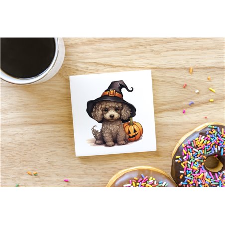 Ceramic Tile Coaster/ Trivet - po 52