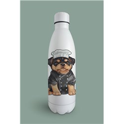 Insulated Bottle  - ro 1