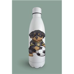 Insulated Bottle  - ro 2