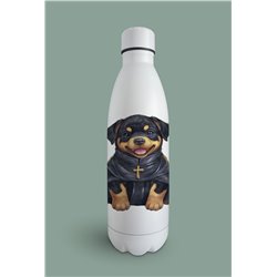 Insulated Bottle  - ro 3