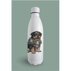 Insulated Bottle  - ro 4