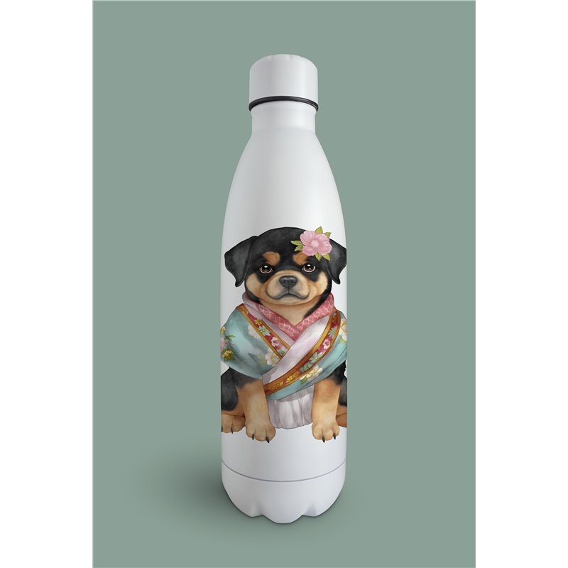 Insulated Bottle  - ro 5