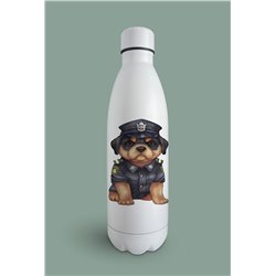 Insulated Bottle  - ro 6