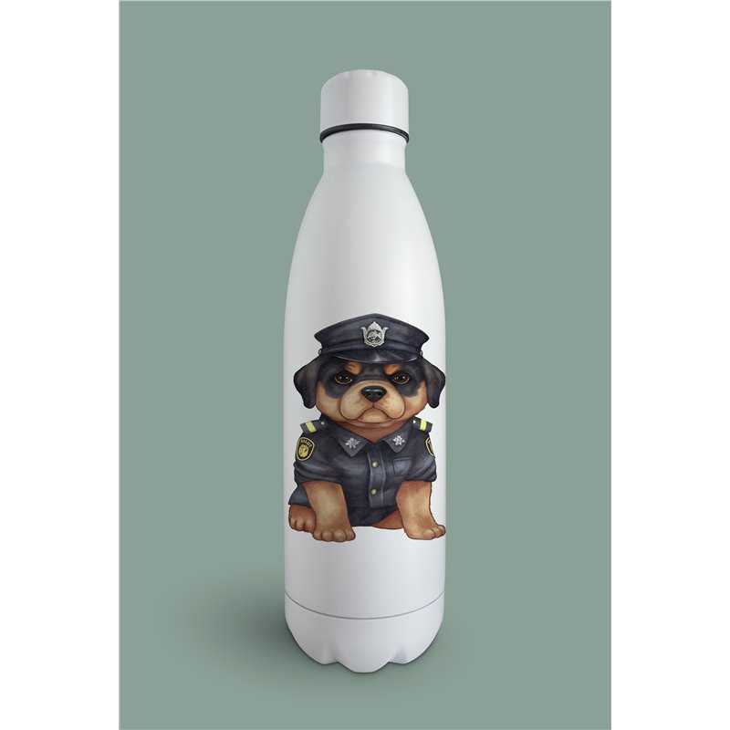 Insulated Bottle  - ro 6
