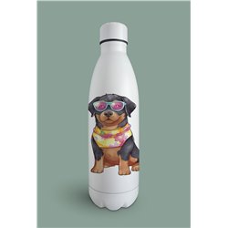 Insulated Bottle  - ro 7
