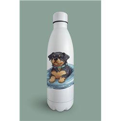 Insulated Bottle  - ro 8