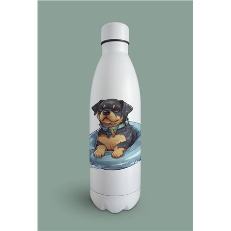 Insulated Bottle  - ro 8