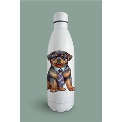 Insulated Bottle  - ro 9