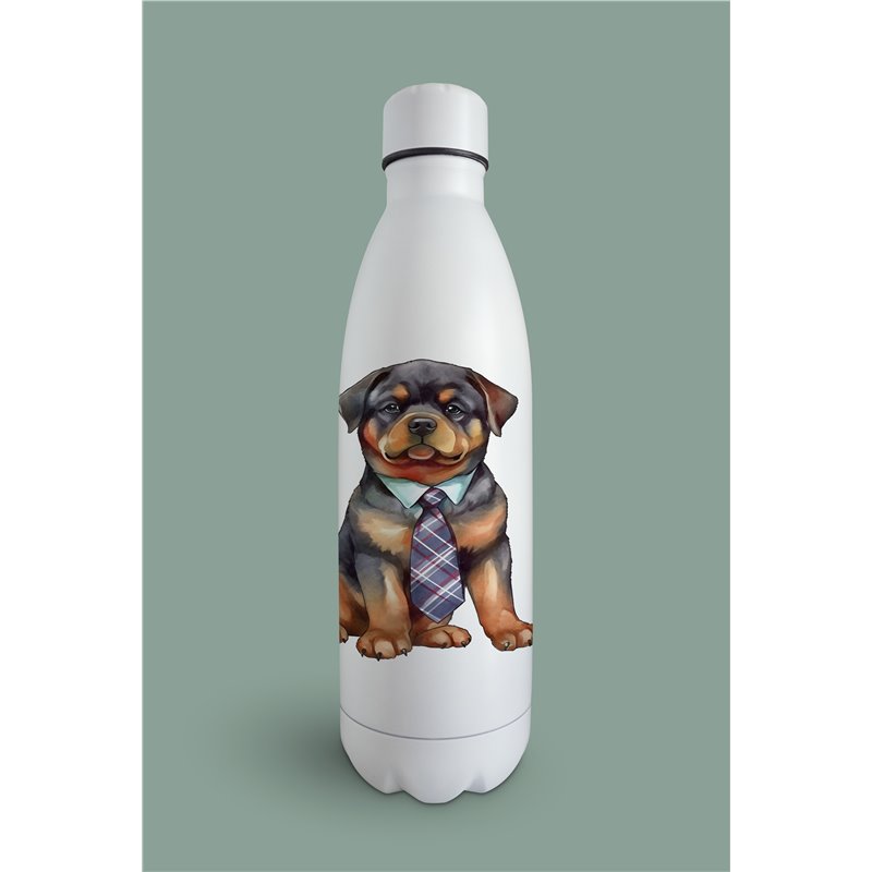 Insulated Bottle  - ro 9