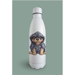 Insulated Bottle  - ro 10