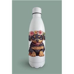 Insulated Bottle  - ro 11