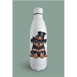 Insulated Bottle  - ro 12