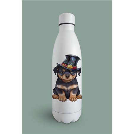 Insulated Bottle  - ro 12