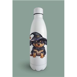 Insulated Bottle  - ro 13