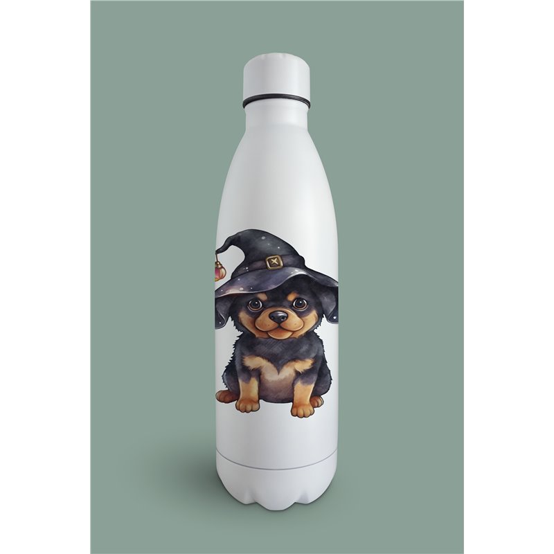 Insulated Bottle  - ro 13