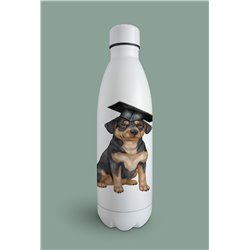 Insulated Bottle  - ro 14