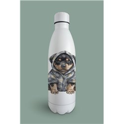 Insulated Bottle  - ro 15