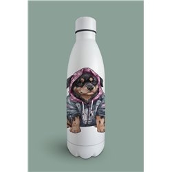 Insulated Bottle  - ro 16