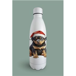 Insulated Bottle  - ro 17