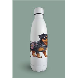 Insulated Bottle  - ro 19