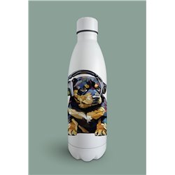 Insulated Bottle  - ro 20