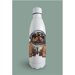 Insulated Bottle  - ro 22
