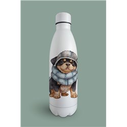 Insulated Bottle  - ro 23
