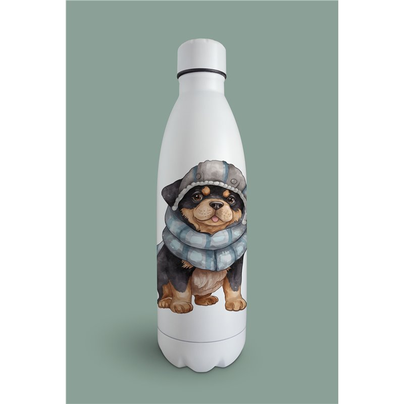 Insulated Bottle  - ro 23