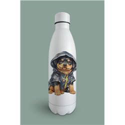Insulated Bottle  - ro 24